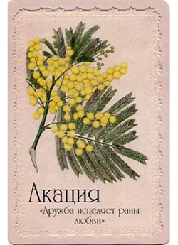 Оракул Селам или Язык Цветов