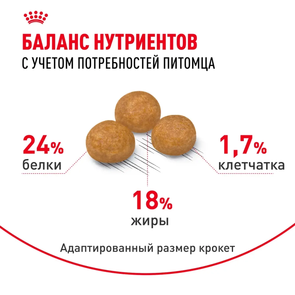 Корм Royal Canin X-Small Adult для собак миниатюрных размеров от 10 месяцев до 8 лет 0.5кг