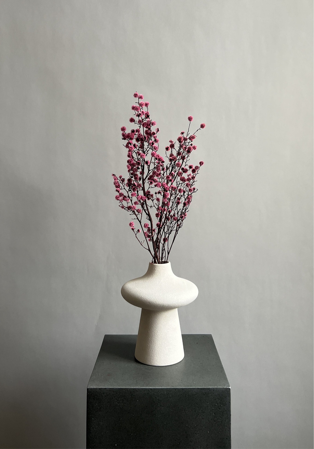 Стилингия розовая