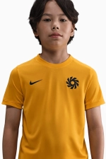 Футболка Nike Erling Haaland Academy Junior - желтый