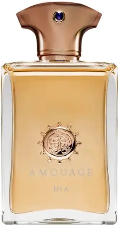 AMOUAGE DIA MAN EDP 100 ML