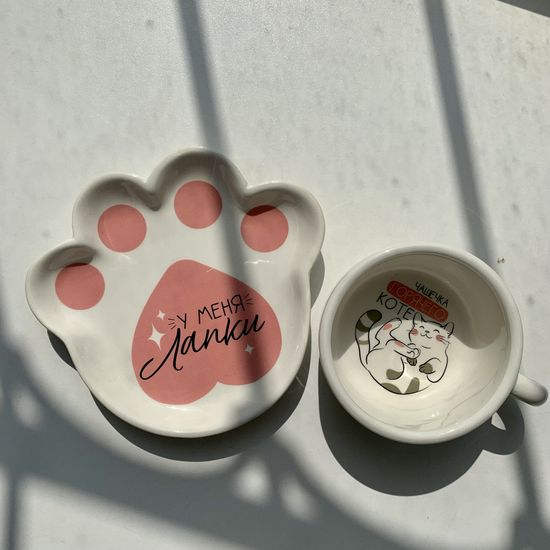 Чайная пара «Чашечка горячего коте», 170 мл