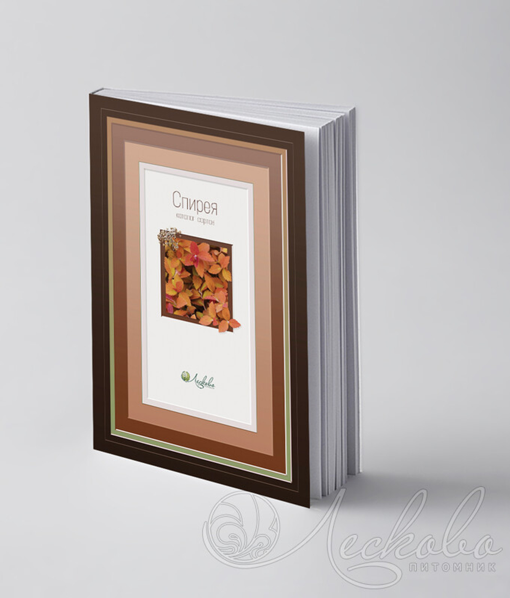 Спирея. Каталог сортов