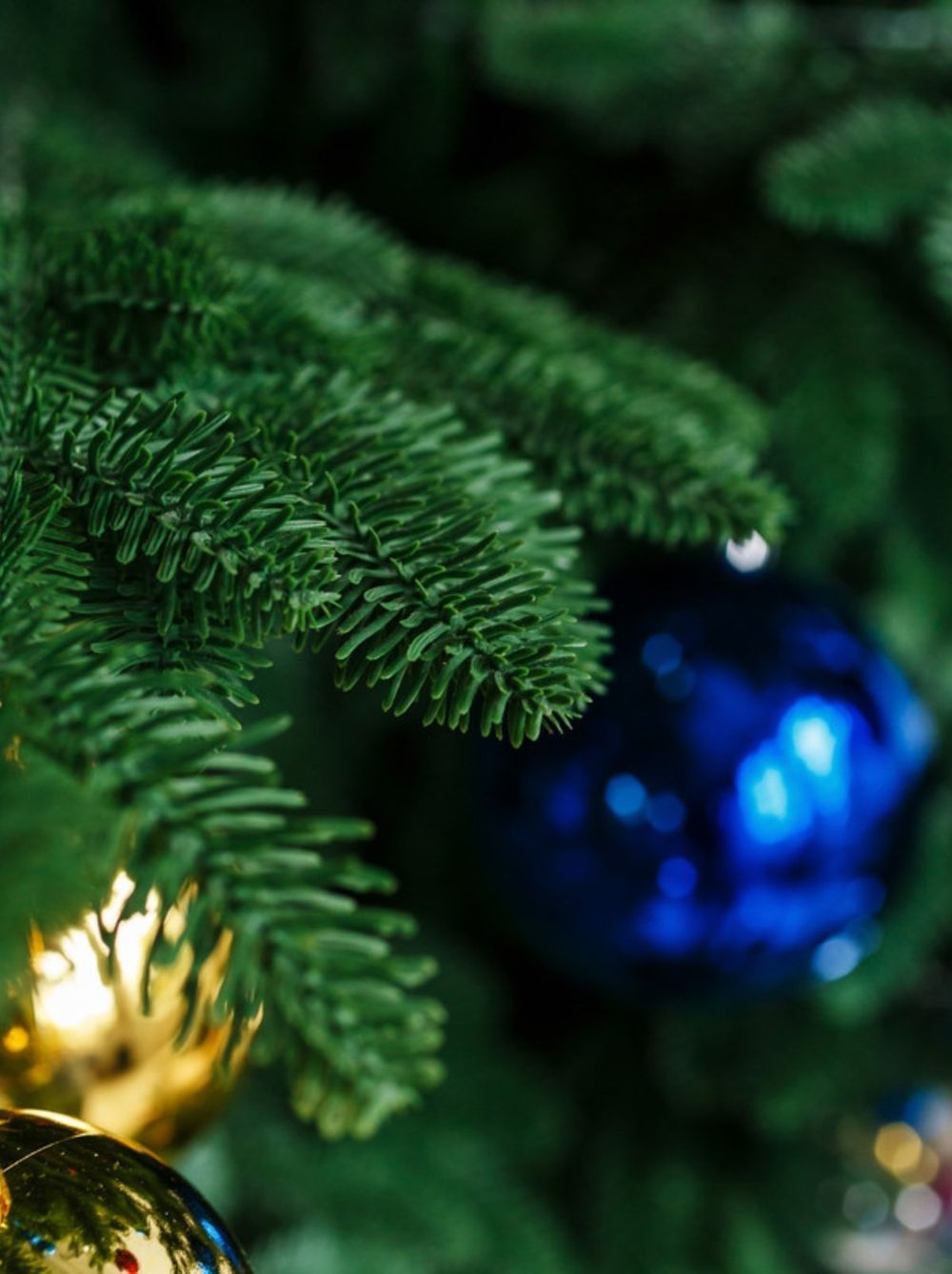 Большая елка «Норвежская» GT (Литая хвоя) от 2,7 м до 3,7 м