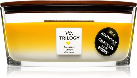 Woodwick Trilogy Fruits of Summer - ароматическая свеча с деревянным фитилем (хартвик) /   453  g  / GTIN 663595769587