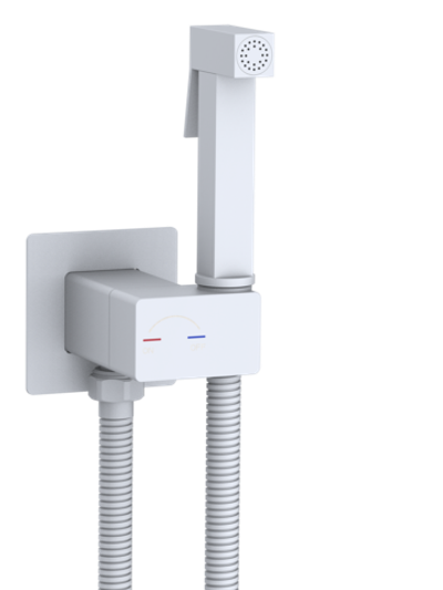 Гигиенический душ WeltWasser  HIGI Q01 WT 10000013667 латунь  Белый матовый