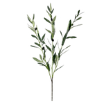 Олива ветка с плодами 70 см.