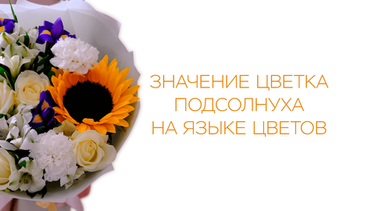 Значение цветка подсолнуха на языке цветов