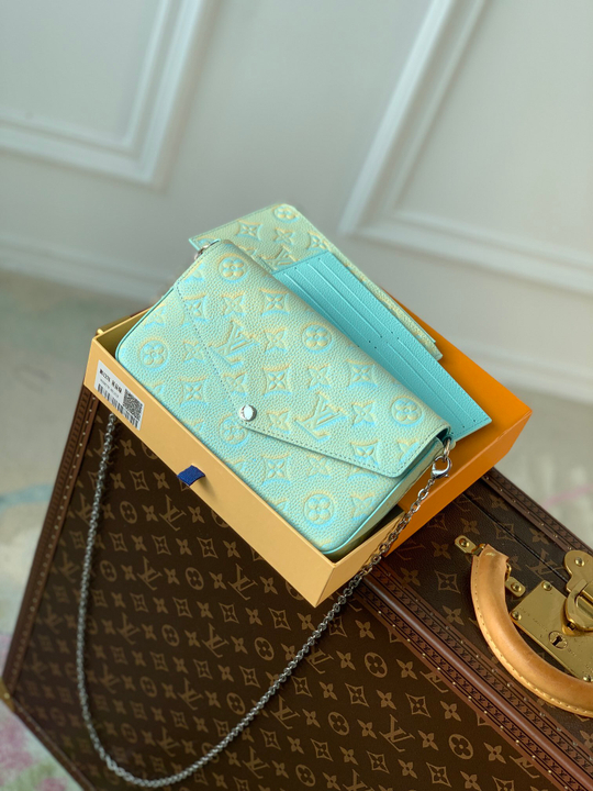 Louis Vuitton Felicie Pochette