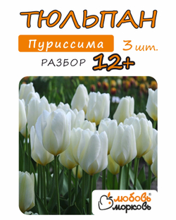 Тюльпан Луковица, Пуриссима 3 шт, разбор 12+ (Любовь Морковь)