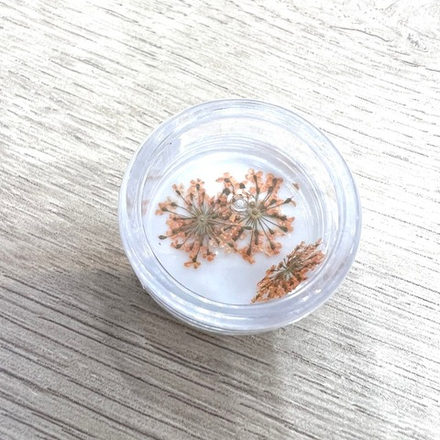 Сухоцветы "Любимые цветочки", 1676