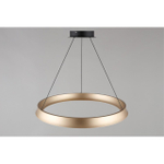 Подвесная светодиодная люстра Aployt Justyna APL.787.03.50