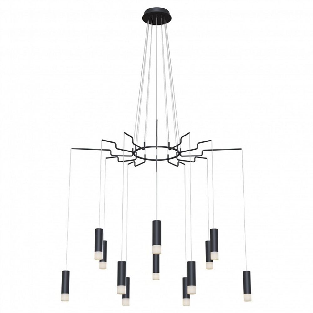 Подвесная люстра Maytoni Davida MOD035PL-12B