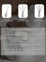 Диффузор для дома по мотивам Paco Rabanne Invictus