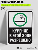 Табличка для частной территории "Курение в этой зоне разрешено", на дом, для участка, для подъезда, организаций и частных территорий, предупреждающая, 40х30 см, Silver Plane x Айдентика Технолоджи