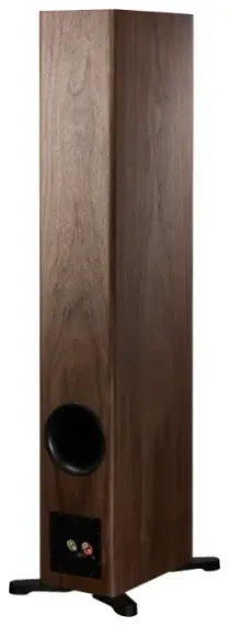 Dynaudio Evoke 50 Walnut Wood