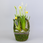 Композиция с первоцветами Лесная корзина M