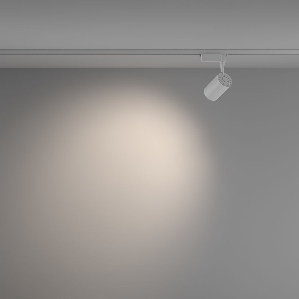 Трековый однофазный светодиодный светильник Maytoni Unity Vuoro TR003-1-10W4K-W-W