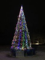 Большая елка «Рублевская Сосна» (Леска) 6,5 м