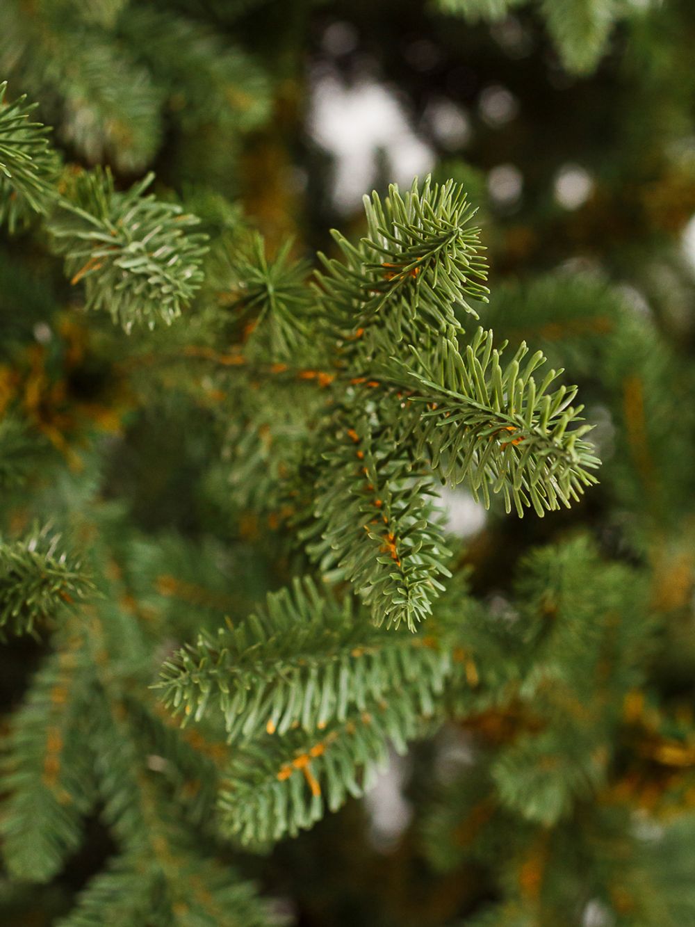 Искусственная ель на ножке «Датская» (хвоя Литая) 240 см / 2.4 м