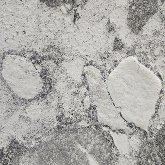 Каменный шпон Slate Light Fossil Granite