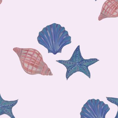 Морские ракушки