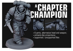 Chapter Champion