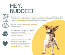 HEY, BUDDEE "Спорт", Сухой супер премиум корм для спортивных и служебных собак. Линейка Спецкинология.
