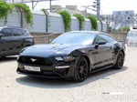 Ford Mustang Coupe (10.2019)