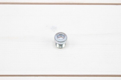 Заглушка Cummins резьбовая М10х1,0х13,5 13795