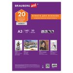 Папка для рисования БОЛЬШОГО ФОРМАТА А3, 20 л., 160 г/м2, BRAUBERG, 297х420 мм, "Орел", 125228