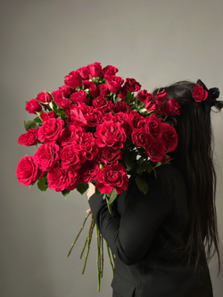 Кустовые розы сорт «BELLA LOVE» (Эквадор, премиум)