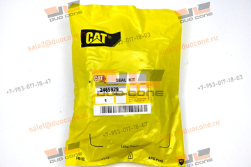 Ремкомплект Seal KIT 2465929 для Caterpillar