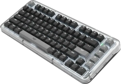 Клавиатура Logitech Wireless Keyboard K75M Black (920-013299)