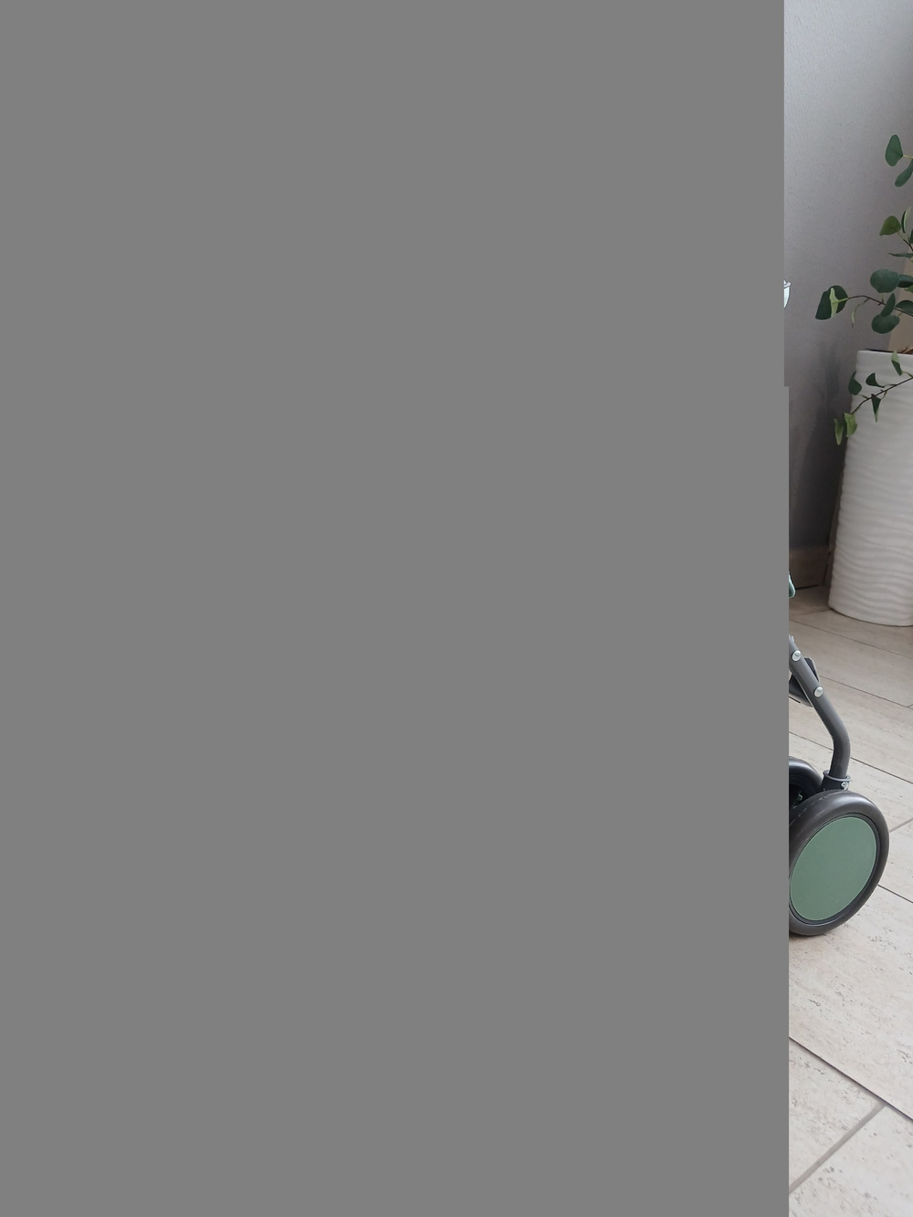 Коляска детская RANT basic "Tango" RA351 Green