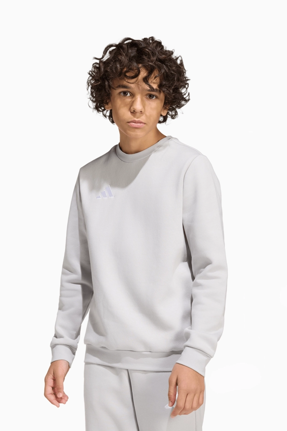 Кофта adidas Entrada 26 Sweat Junior - серый