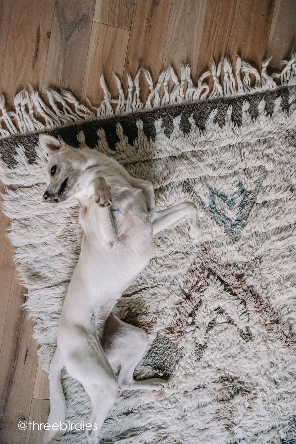 Шерстяной стираемый ковер Lorena Canals Tuba M (140 x 200 см)