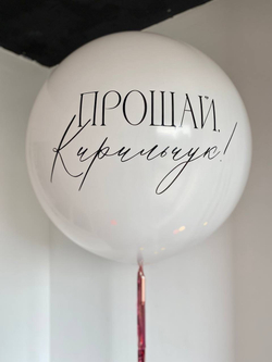 Воздушные шары на девичник №1040