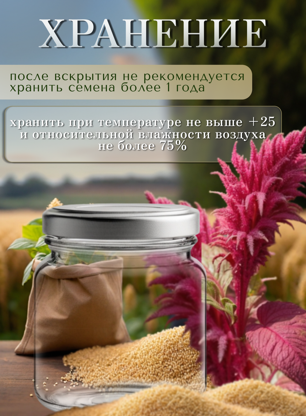 Семена Амаранта крупа амарантовая 500 грамм