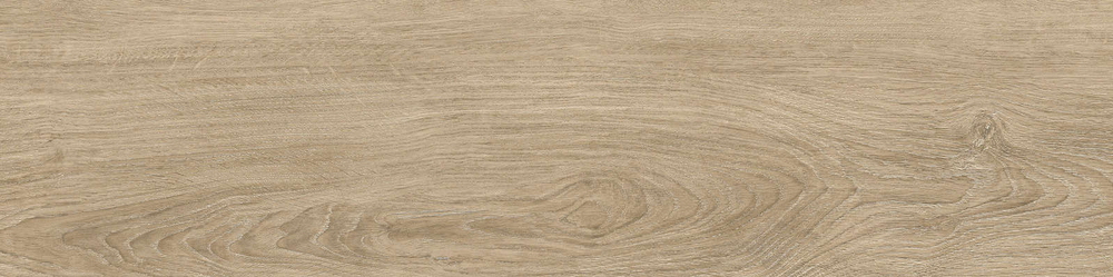 Керамогранит Baltic_GT Бежевый 19,8x80 GT208021202MСR