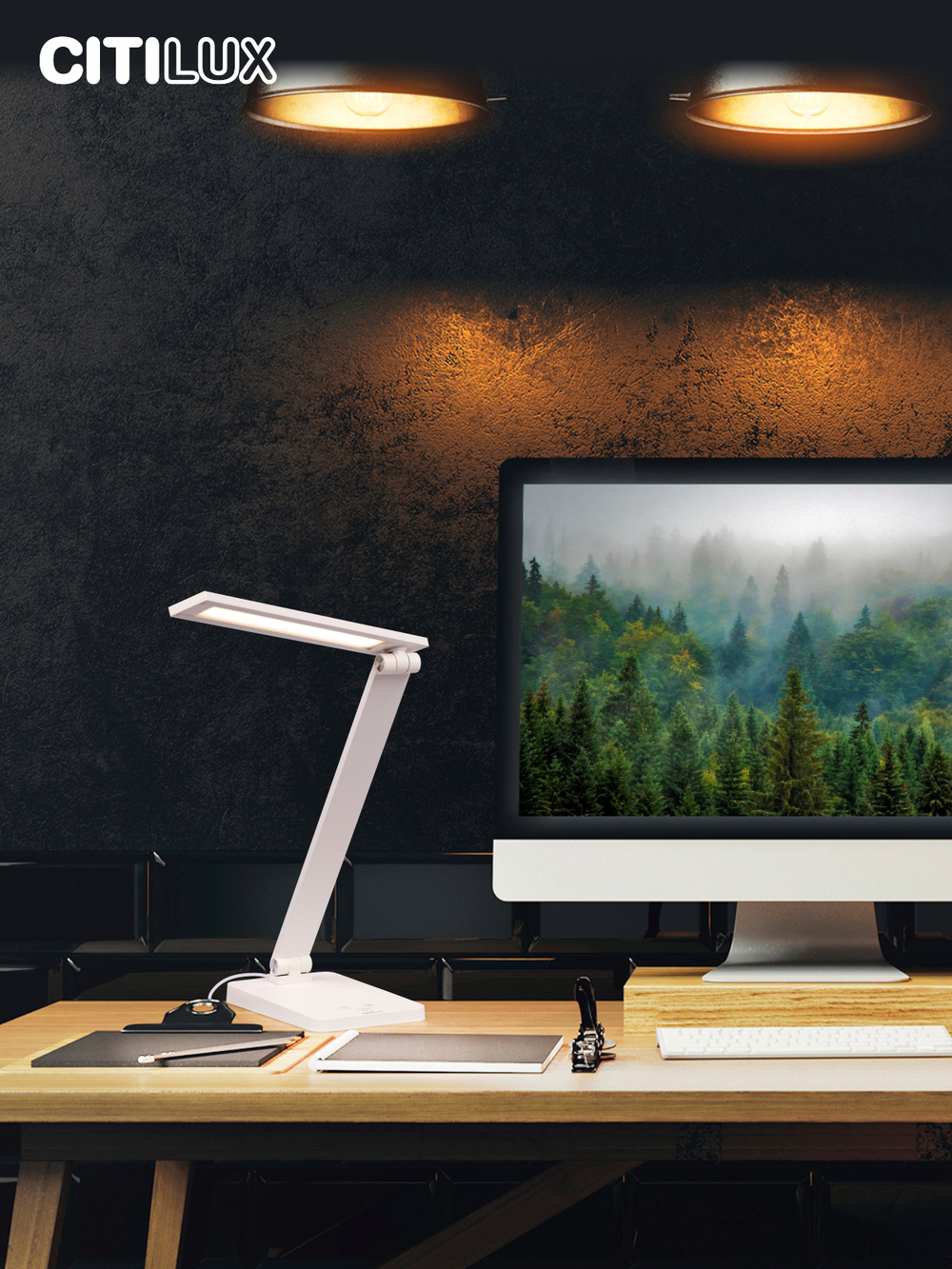 Citilux Ньютон CL803080 Настольный светильник с диммером Белый