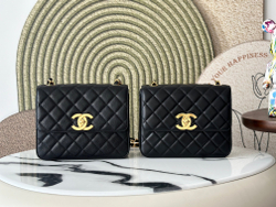 Chanel Bag 25 cm (2 variants)