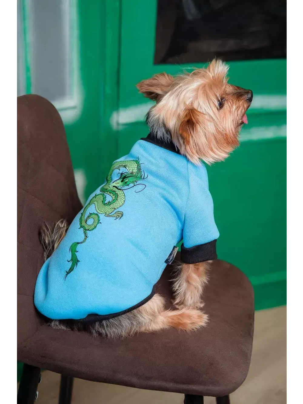 Толстовка для собак и кошек