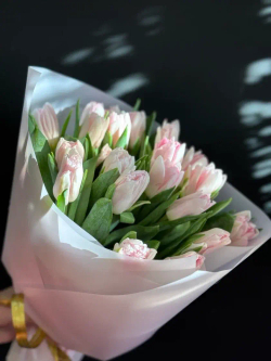 Тюльпаны, 21шт