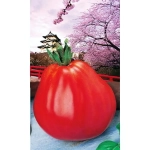 Семена Томат Японский Трюфель (УД) Е/П