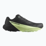 Кроссовки для бега Salomon Pulsar black/black/patina green