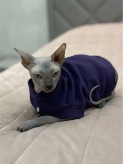 Одежда свитер для сфинксов кошек