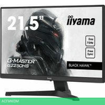 Игровой монитор Iiyama G-Master Black Hawk G2250HS-B1