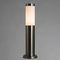 Уличный светильник Arte Lamp 68 A3158PA-1SS