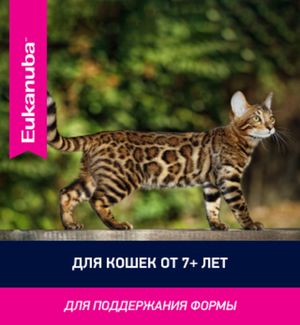 Пауч для кошек старше 7 лет, Eukanuba Senior cat chicken, с курицей в соусе